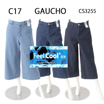 CS3255